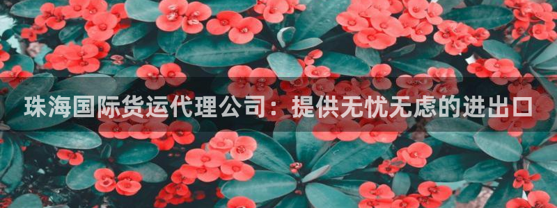尊龙凯时一人生就是博官网：珠海国际货运代理公司：提供无忧