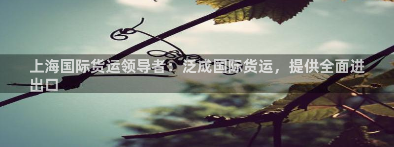 尊龙棋牌老板是谁：上海国际货运领导者：泛成国际货运，提供