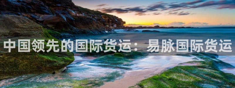 尊龙ag旗舰厅官网官方入口：中国领先的国际货运：易脉国际