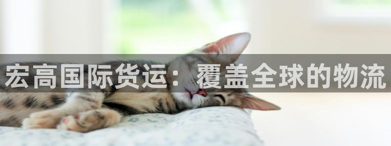 尊龙官网地址：宏高国际货运：覆盖全球的物流