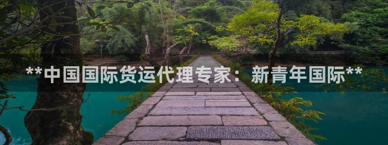 尊龙棋牌软件有挂吗：**中国国际货运代理专家：新青年国际