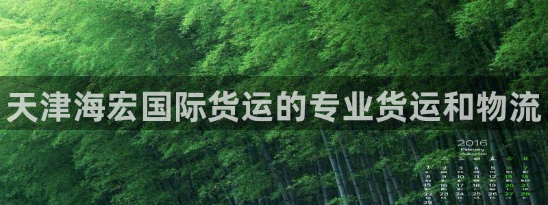尊龙凯时的企业文化：天津海宏国际货运的专业货运和物流