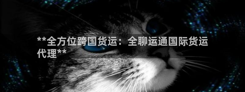 尊龙官方网站首页：**全方位跨国货运：全聊运通国际货运
