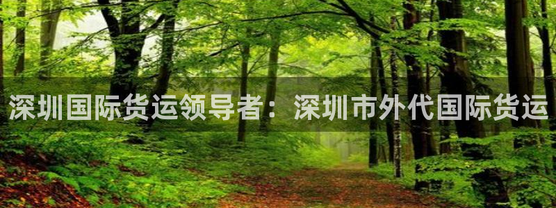 尊龙人生就是博AG