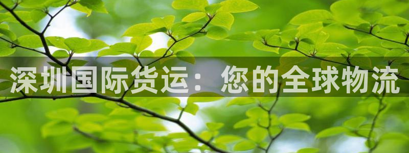 尊龙手机客户端app：深圳国际货运：您的全球物流