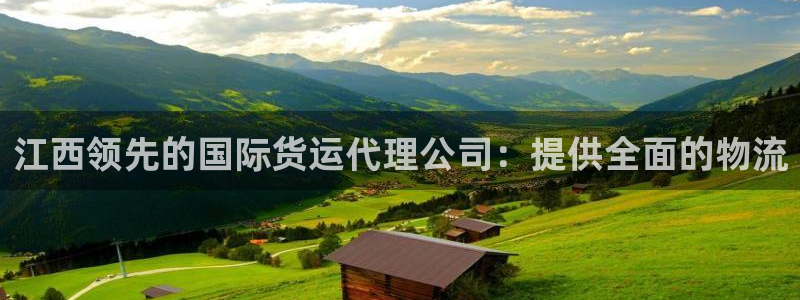 尊龙人生就是博客服：江西领先的国际货运代理公司：提供全面