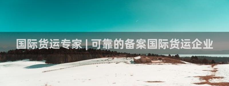 尊龙凯时提不了款：国际货运专家 | 可靠的备案国际货运企