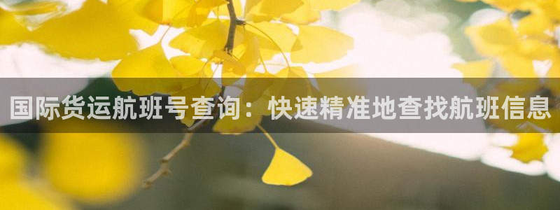 尊龙—人生就是博：国际货运航班号查询：快速精准地查找航班