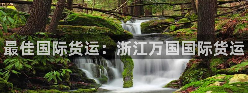 尊龙z6集团：最佳国际货运：浙江万国国际货运