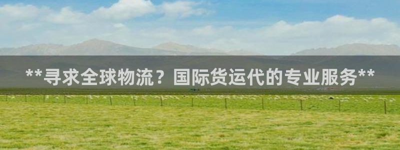 尊龙凯时官方下载：**寻求全球物流？国际货运代的专业服务