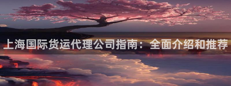 尊龙凯时只输不赢：上海国际货运代理公司指南：全面介绍和推
