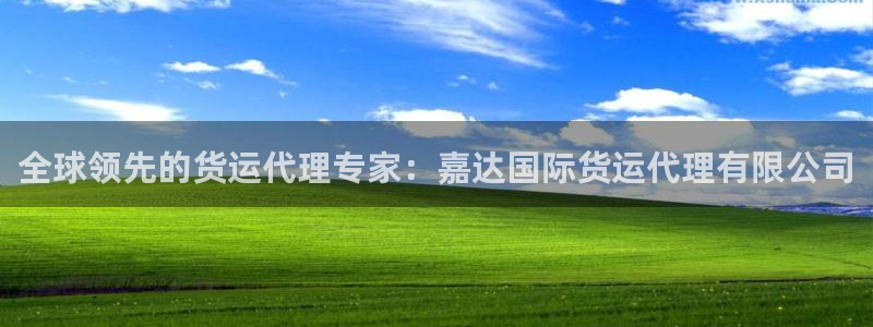 尊龙官网APP下载：全球领先的货运代理专家：嘉达国际货运
