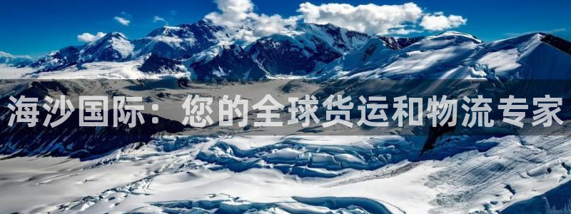 尊龙凯时合法吗?：海沙国际：您的全球货运和物流专家