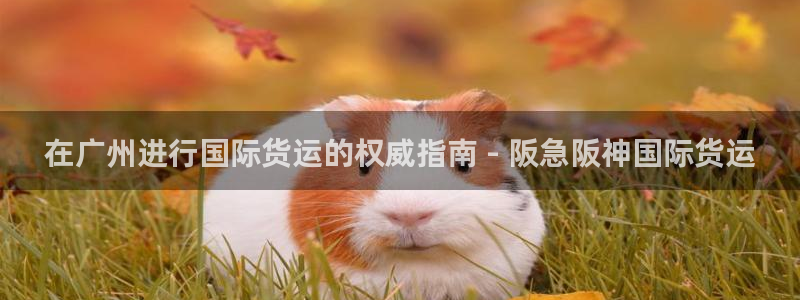 尊龙人生就是博AG旗舰厅：在广州进行国际货运的权威指南 