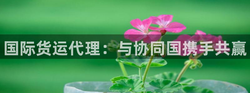 尊龙d88皆选ag发财网：国际货运代理：与协同国携手共赢
