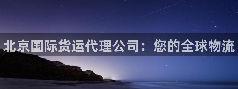 尊龙客服：北京国际货运代理公司：您的全球物流