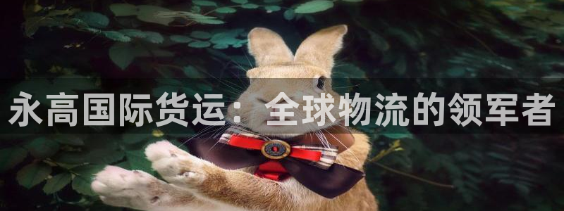 尊龙app登录不了：永高国际货运：全球物流的领军者