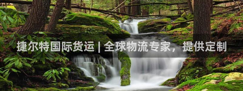 尊龙手机官方客户端下载安卓：捷尔特国际货运 | 全球物流