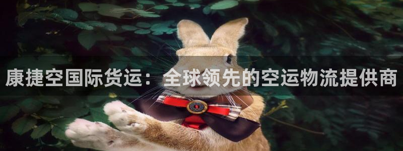 尊龙官网APP下载：康捷空国际货运：全球领先的空运物流提
