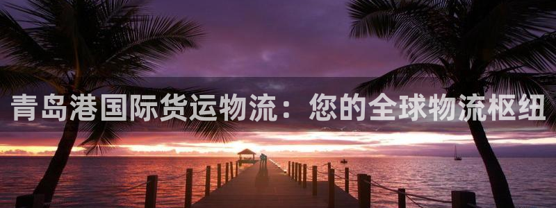 尊龙凯时请求参数不符合：青岛港国际货运物流：您的全球物流