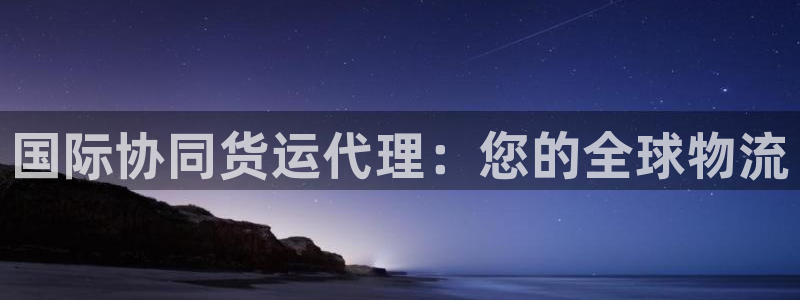 尊龙人生就是搏：国际协同货运代理：您的全球物流