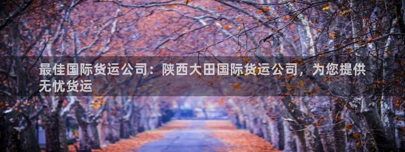 尊龙凯时网：最佳国际货运公司：陕西大田国际货运公司，为您