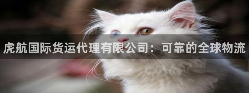 尊龙凯时老板：虎航国际货运代理有限公司：可靠的全球物流