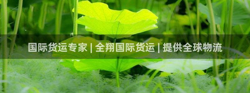 尊龙凯时一人生就是博官网：国际货运专家 | 全翔国际货运