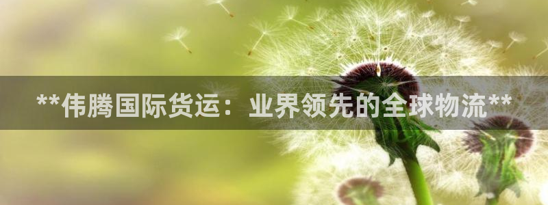 尊龙休闲e站怎么样：**伟腾国际货运：业界领先的全球物流