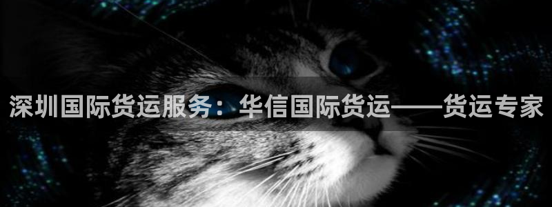 尊龙凯时logo：深圳国际货运服务：华信国际货运——货运
