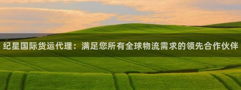 尊龙凯时凯发官网：纪星国际货运代理：满足您所有全球物流需