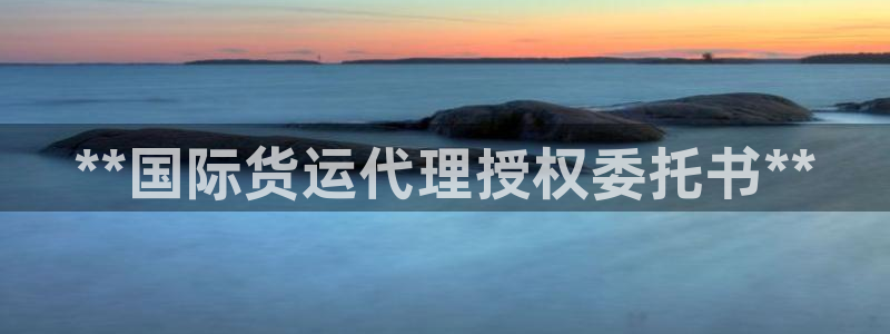 尊龙凯时游戏厅：**国际货运代理授权委托书**
