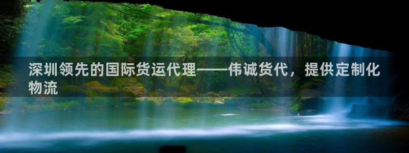 尊龙凯时官网：深圳领先的国际货运代理——伟诚货代，提供定