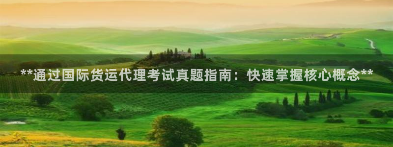 尊龙电子：**通过国际货运代理考试真题指南：快速掌握核心