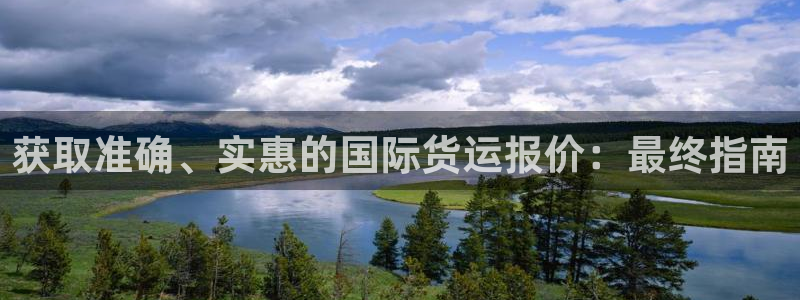 尊龙凯时能做退米么：获取准确、实惠的国际货运报价：最终指