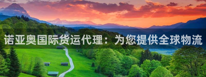 尊龙凯时官网首页：诺亚奥国际货运代理：为您提供全球物流
