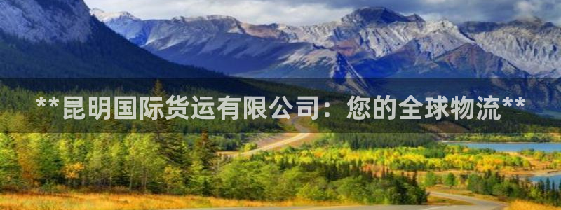 尊龙凯时取款一直支付中：**昆明国际货运有限公司：您的全