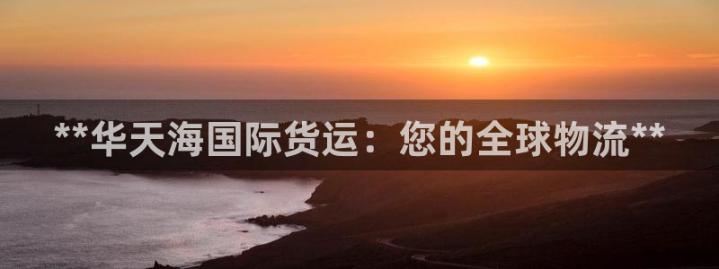 尊龙Ag：**华天海国际货运：您的全球物流**