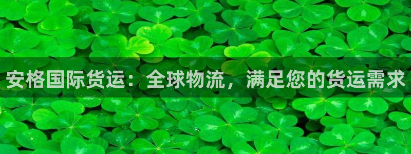 尊龙凯时不给提款：安格国际货运：全球物流，满足您的货运需