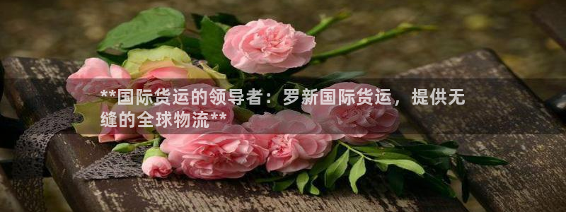 尊龙z6网址：**国际货运的领导者：罗新国际货运，提供无