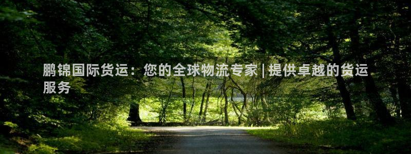 尊龙凯时是不是合法：鹏锦国际货运：您的全球物流专家 | 