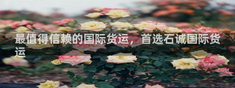 尊龙凯时人生就是博·(中国)：最值得信赖的国际货运，首选