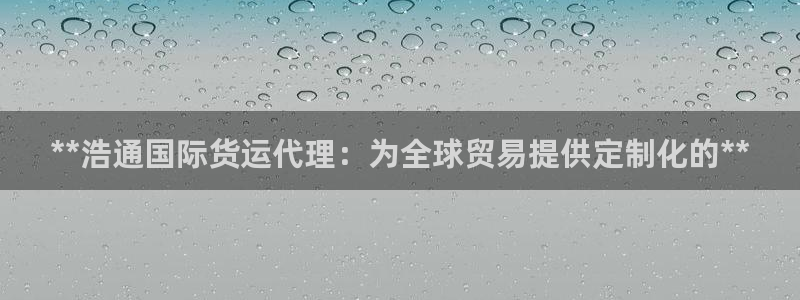 尊龙app最新版本官网：**浩通国际货运代理：为全球贸易