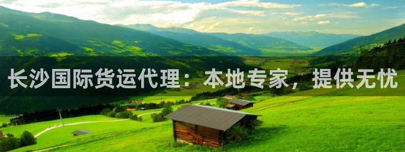 尊龙t600：长沙国际货运代理：本地专家，提供无忧