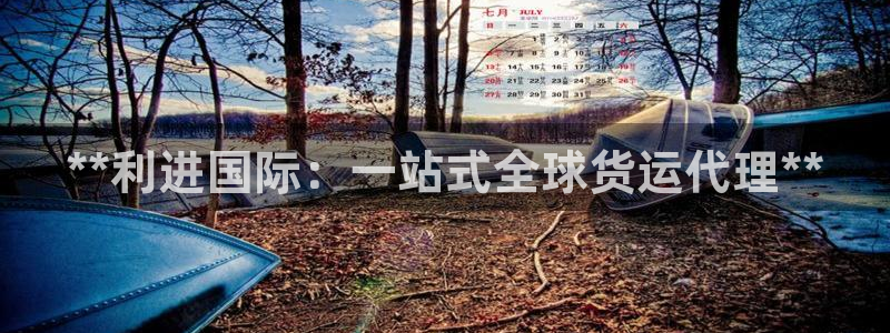尊龙z6集团：**利进国际：一站式全球货运代理**