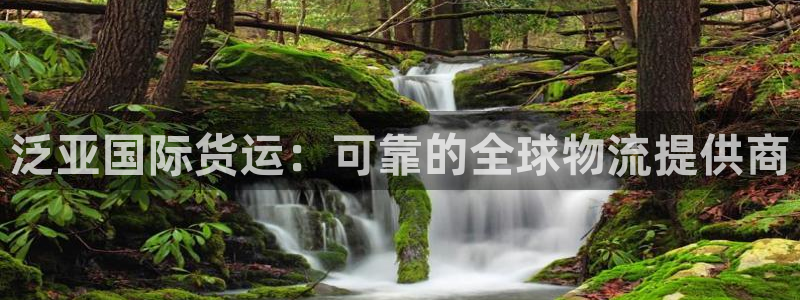 尊龙凯时用户名m：泛亚国际货运：可靠的全球物流提供商