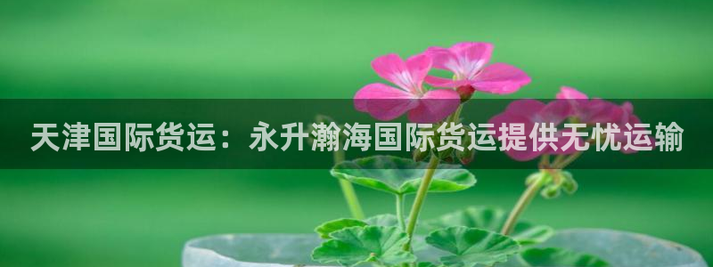 尊龙凯时平台正规吗：天津国际货运：永升瀚海国际货运提供无