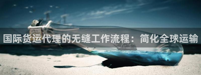 尊龙新版官网网页版：国际货运代理的无缝工作流程：简化全球
