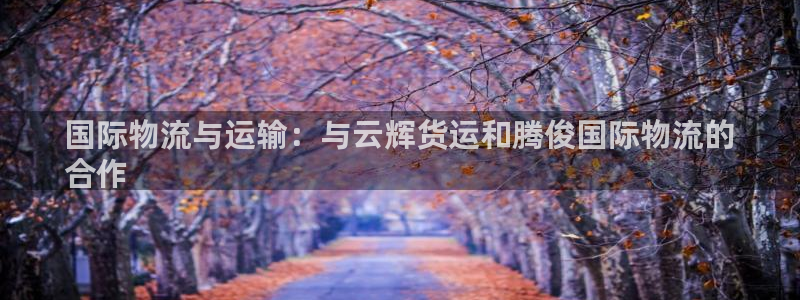 尊龙凯时注册：国际物流与运输：与云辉货运和腾俊国际物流的