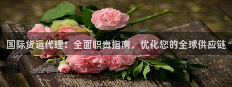 尊龙贴吧：国际货运代理：全面职责指南，优化您的全球供应链